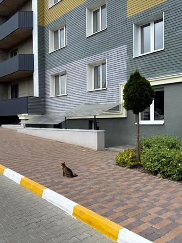 Олександра Саєнка вул., 11