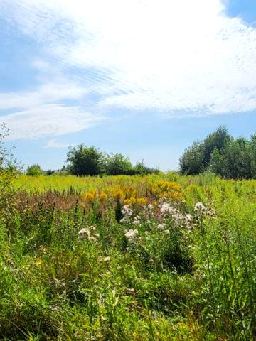 Конопниця, Львівський, Львівська область 33000 USD