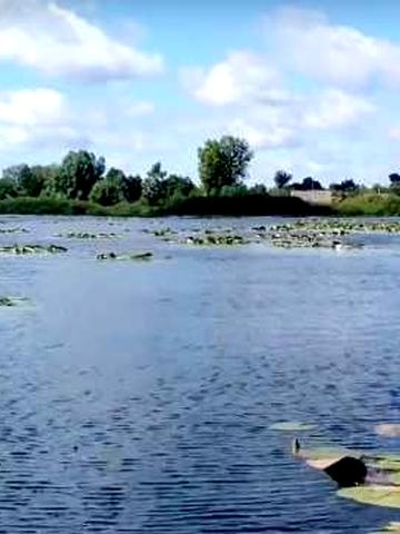 Продам будинок у смт. Заболоття Ковельського (Ратнівського) району