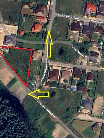 Березова роща