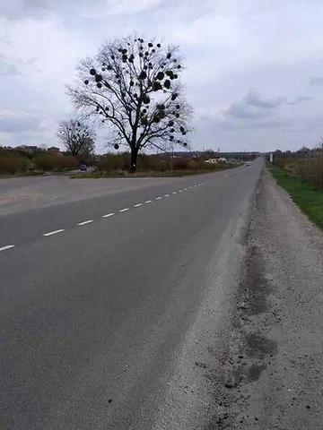Продаж 6к Дім Львівська вулиця