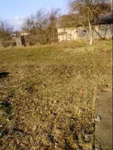 Леси Украинки