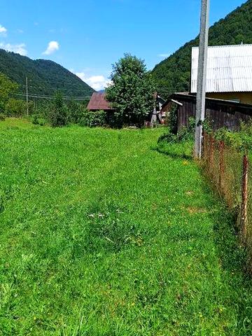 будинок у мальовничому куточку Закарпаття