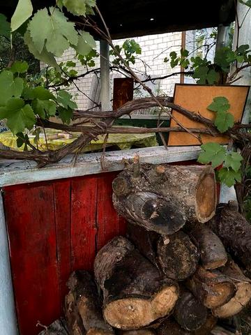 Здам дачний будинок