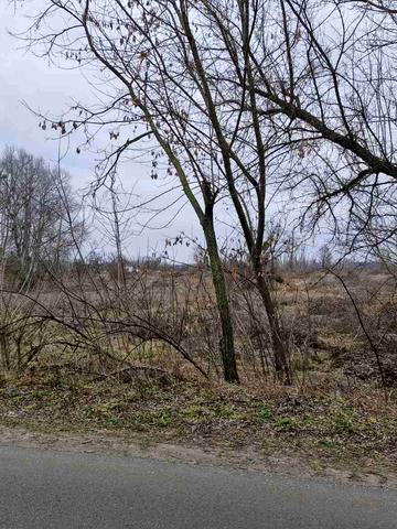 Дніпровська