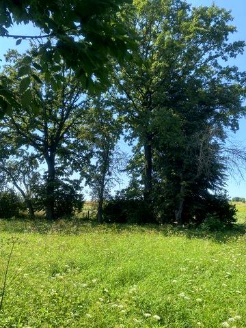 Просторий сільський будинок із землею , у мальовничій місцевості