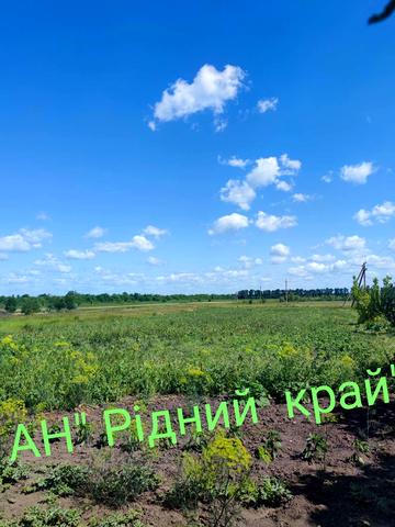 Центральна, 10