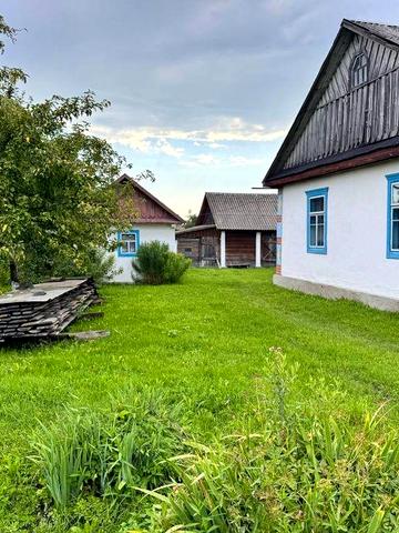 Будинок житловий з земельною ділянкою