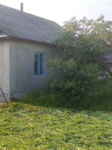 Приватний будинок