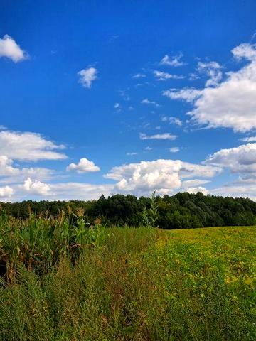 Продам будинок в Бурині