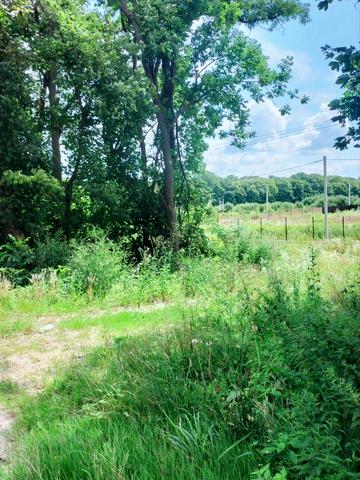 Зимна Вода, Львівський, Львівська область 32200 USD