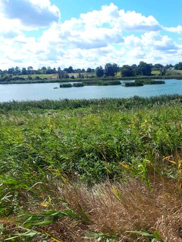 Саївська, 20-е