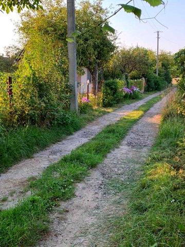 Дача з великою ділянкою в с.г. кооперативі Ветеран, с. Солонка.