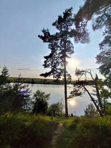 Дача с Івашківці поряд з лісом та ставком