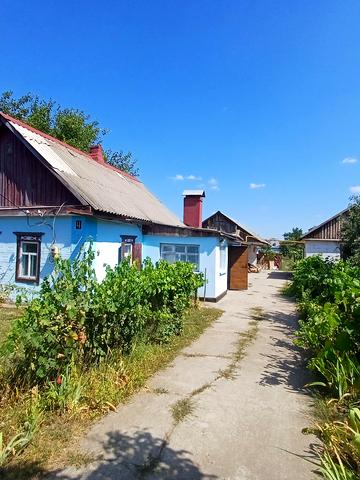 Виноградна