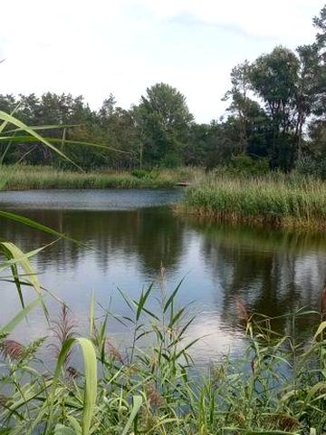 Продам дачу в садовому товаристві с. Червона Слобода