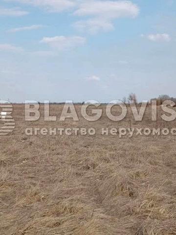 Гоголів, Броварський, Київська область 12000 USD