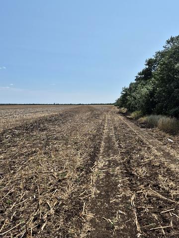 Траса М05 Києв-Одеса