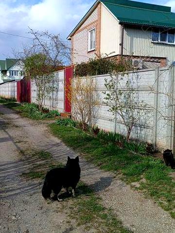 Продається дача! Для родинного відпочинку