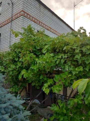 Продам дом в красивом месте