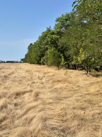 Траса М-05 Київ-Одеса