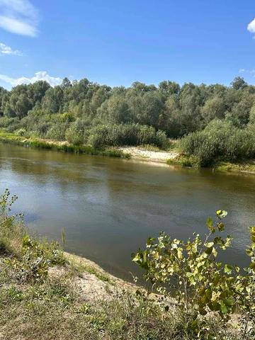 Літки, Броварський, Київська область 6000 USD