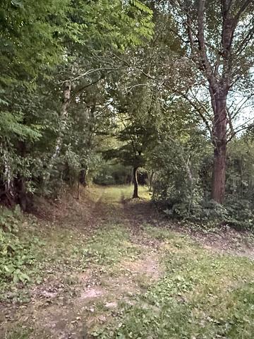 Липники, Львівський, Львівська область 6000 USD