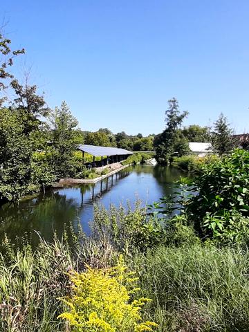 Приозерна, 17