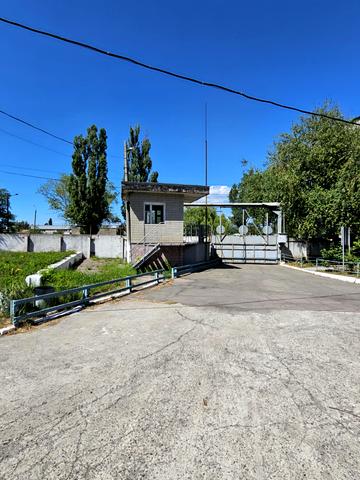 Тритузна, 251