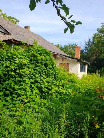 Будинок в  с.Секунь