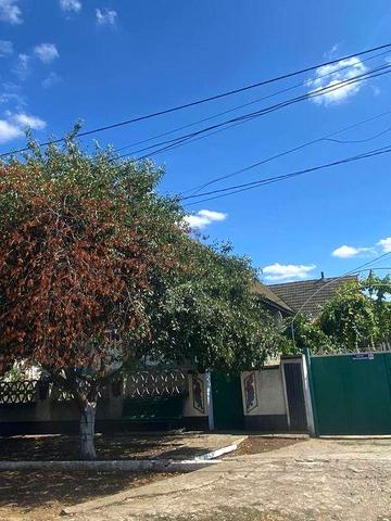 ‼️Продается дом, за детальной информацией пишите в ЛС 
+380680768890
В