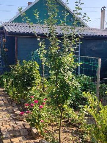 Продам 1/2 дома. Запоріжжя Шевченківській. Зелений Яр