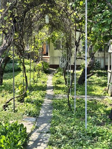 Абрикосова вул.