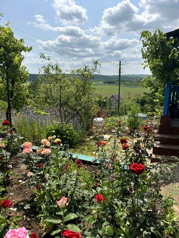 Продам дачні ділянки над річкою Збруч