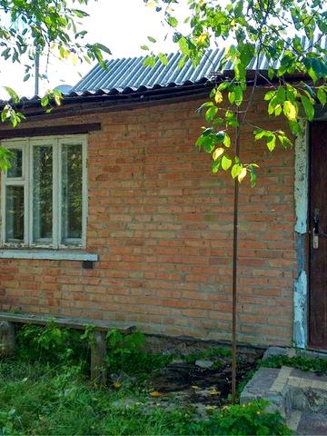 Продам будинок з 10 сотками землі, Борова, від власника!