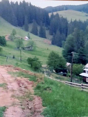 Кривопілля, Верховинський, Івано-Франківська область 18700 USD