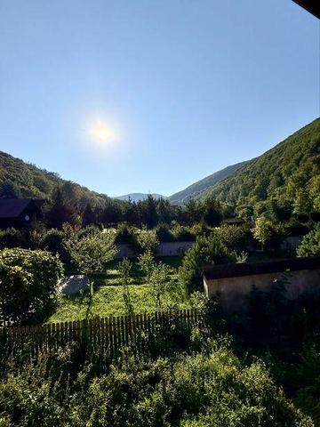 Будинок 290м2, Карпати, м. Свалява