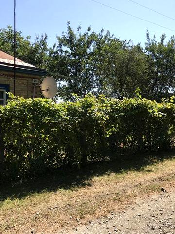 Продається будинок в с Мліїв , Черкаська область