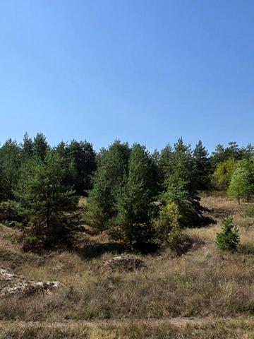 Царичанка, Дніпровський, Дніпропетровська область 70000 USD