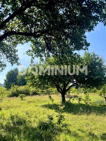 Продається будинок в селі Золотарьово