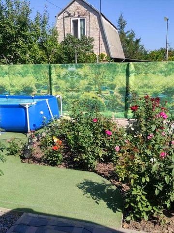 Дача Левшинський залив