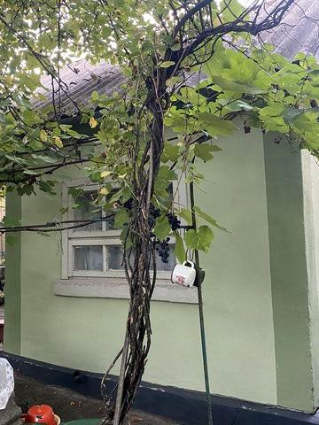 Дачний невеликий будинок