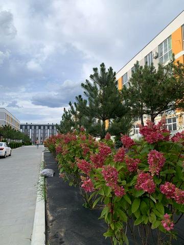 Квартира від власника Дворівнева біля Києва Сонячна панель Камін ЖК Sanville Park