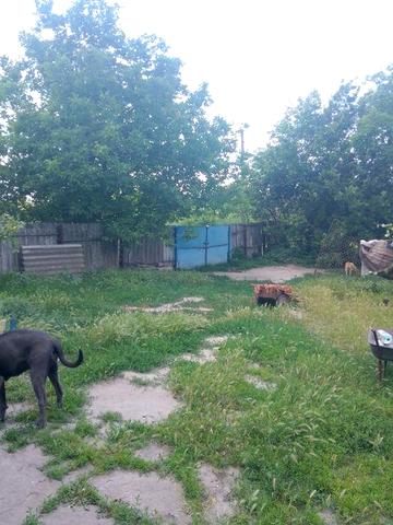 Продажа, обмен, газифицированный дом в Богуславе, НЕ Аренда