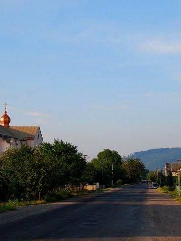 Продаж 2-Будинків В Центрі Чинадієва Можна Під комерцію