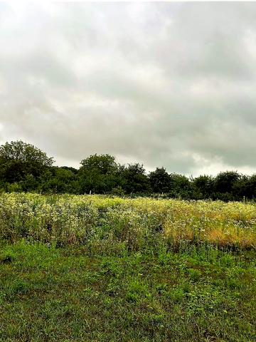 Різникове, Чугуївський, Харківська область 2600 USD