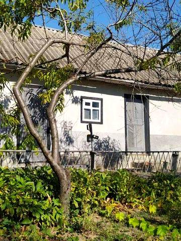 Продам будинок в мальовничому куточку м.Тальне