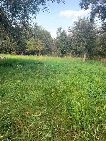 Продам будинок, с.Лісові Сороченці Прилуцький район