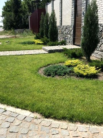 3-эт. будинок с. Дороге у Дніпрі з ділянкою на 21сот, 479кв.м, 5кімн.