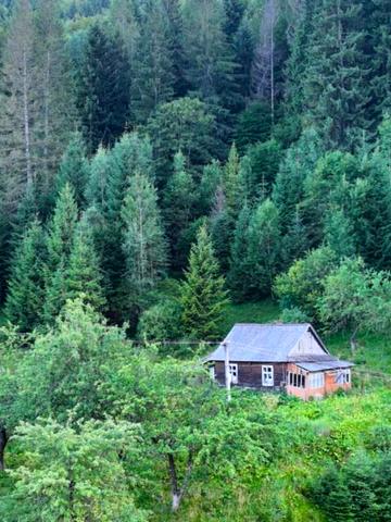 Женецька вул.